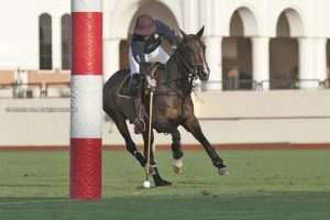 HABTOOR vs MAHRA and BIN DRAI against DR. A/RHINOS, the SEMIFINALS