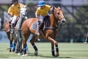 Inscripciones abiertas para el Torneo Nacional de Menores Thai Polo; empate entre India y Argentina