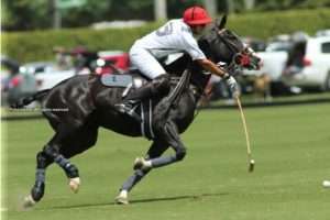 Coca-Cola & La Indiana will decide Carlos Gracida Cup; Goose Creek win Subsidiary Cup