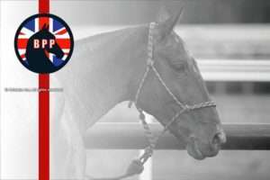 More importance to be placed on horses during English season