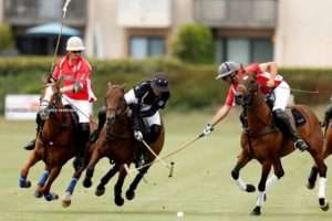 Novis rides away from first week undefeated in USPA Intra-Circuit