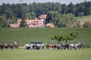 Polo Park Zurich y Equilibrium irán por la gran final