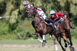 VT Wealth Management continúa ganando; buen debut de Dark Ice en la 15 goles