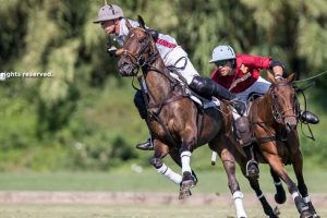 VT Wealth Management on the winning path; important debut victory for Dark Ice