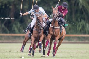 Antelope, primer finalista del Polo Masters