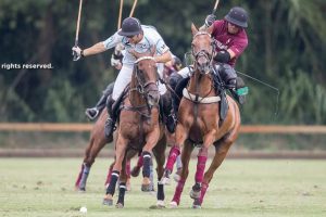 Antelope qualify for Polo Masters final