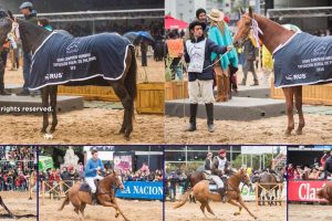 Campeones y reconocimientos en la Rural de Palermo