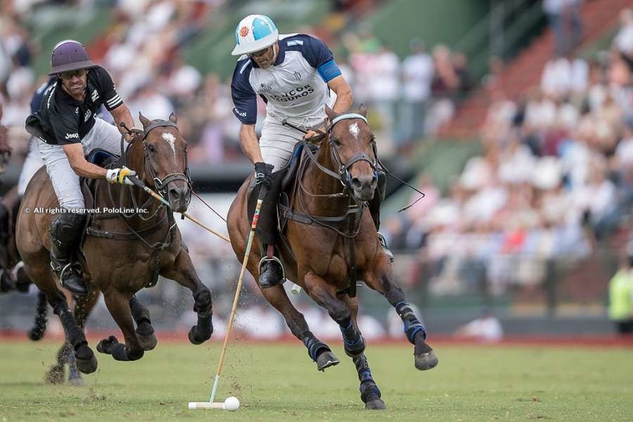 argentina soccer polo