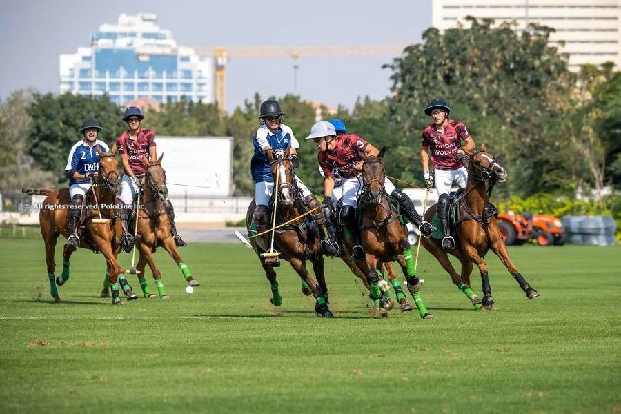 Pololine | Home