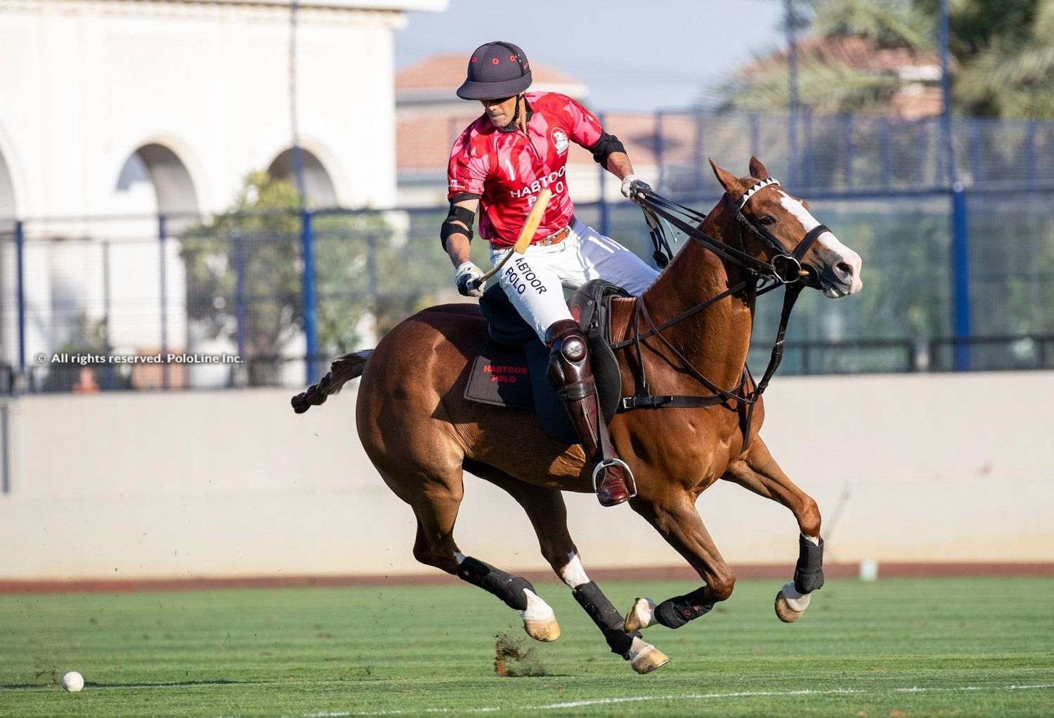 Pololine | Al Habtoor Polo Club March League: Opening wins for AM Polo and  Habtoor