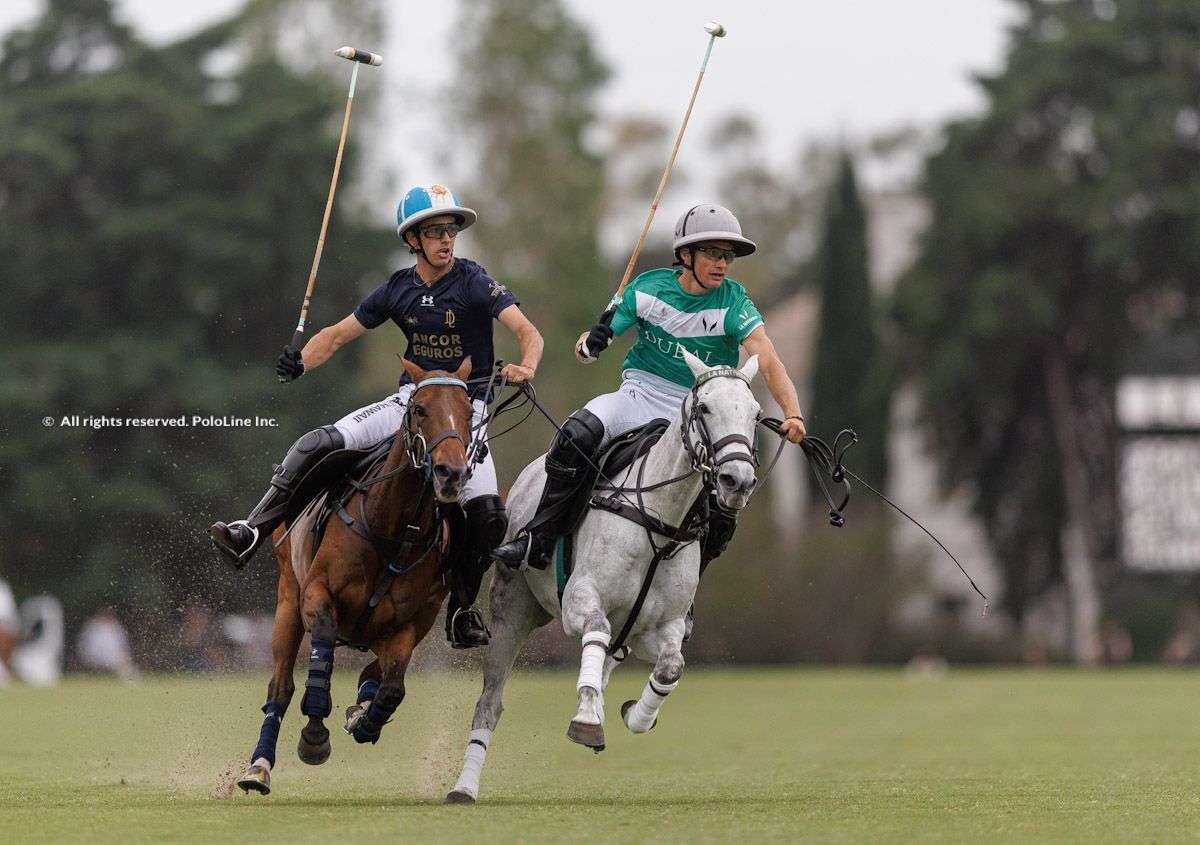 Argentine open clearance polo