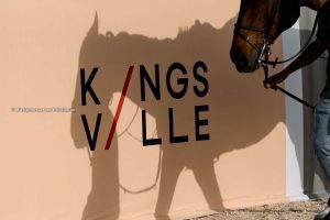 Introducing KingsVille: Where passion and equestrian excellence meet in the heart of Cairo